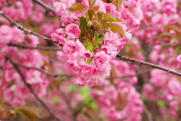 南京建邺区1线下个人借款平台一站式服务，轻松解决资金难题