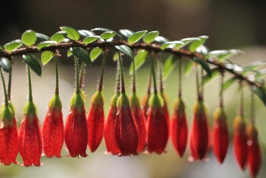 南京建邺区1零用贷短借：轻松解决临时资金需求