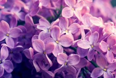 南京建邺区1企业急用钱贷款攻略：快速融资解燃眉之急